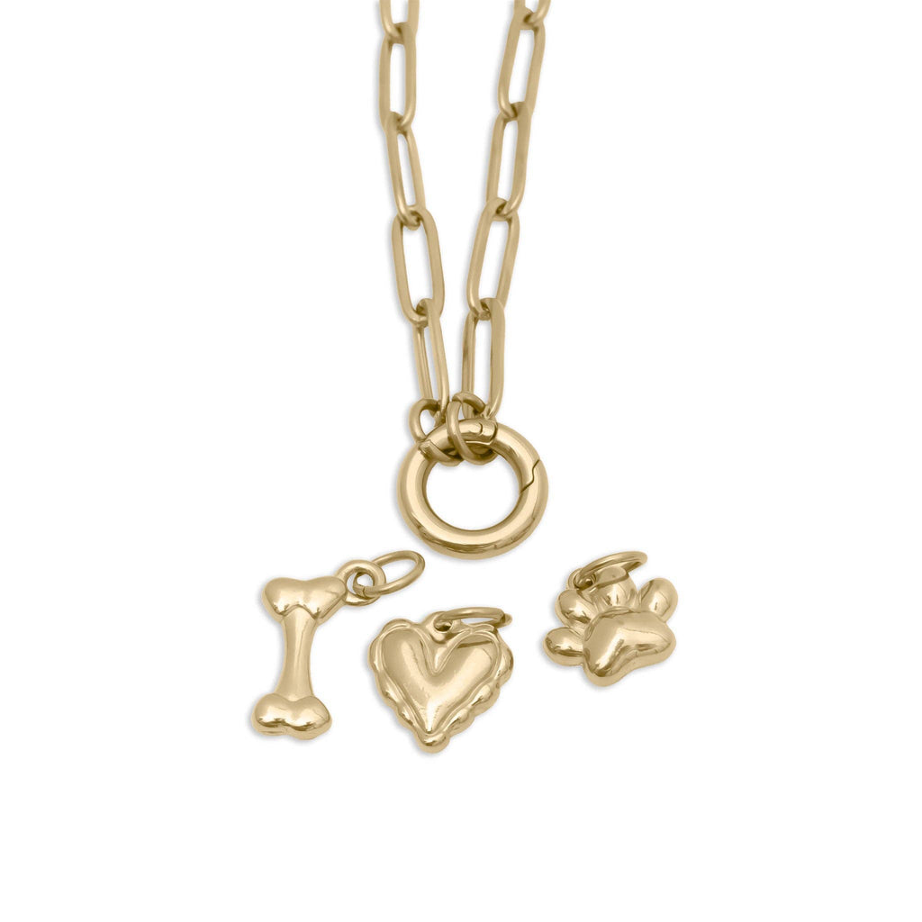 18K Gold Stainless Steel Pet Charm Holder Necklace Gift Set