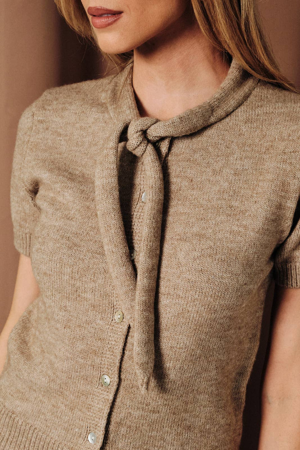 Scarf Neck Short Sleeve Sweater Top