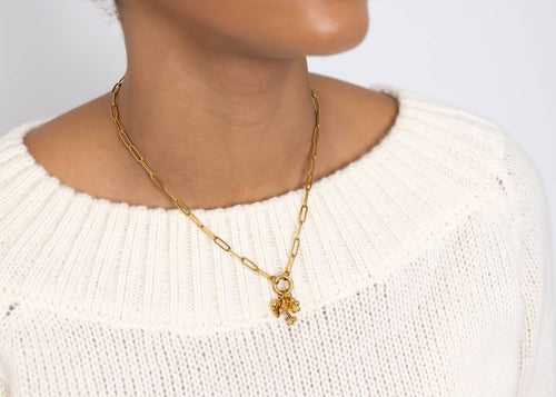 18K Gold Stainless Steel Pet Charm Holder Necklace Gift Set