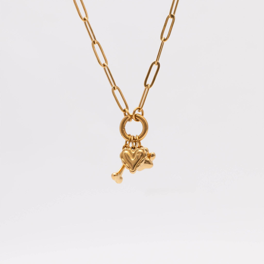 18K Gold Stainless Steel Pet Charm Holder Necklace Gift Set