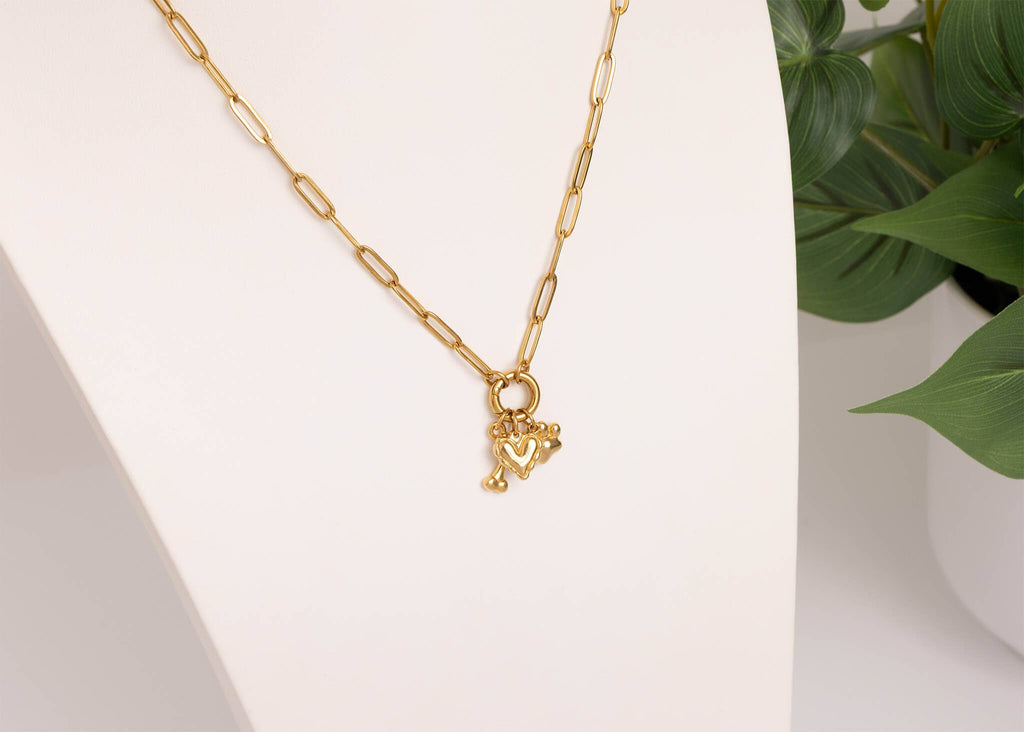 18K Gold Stainless Steel Pet Charm Holder Necklace Gift Set