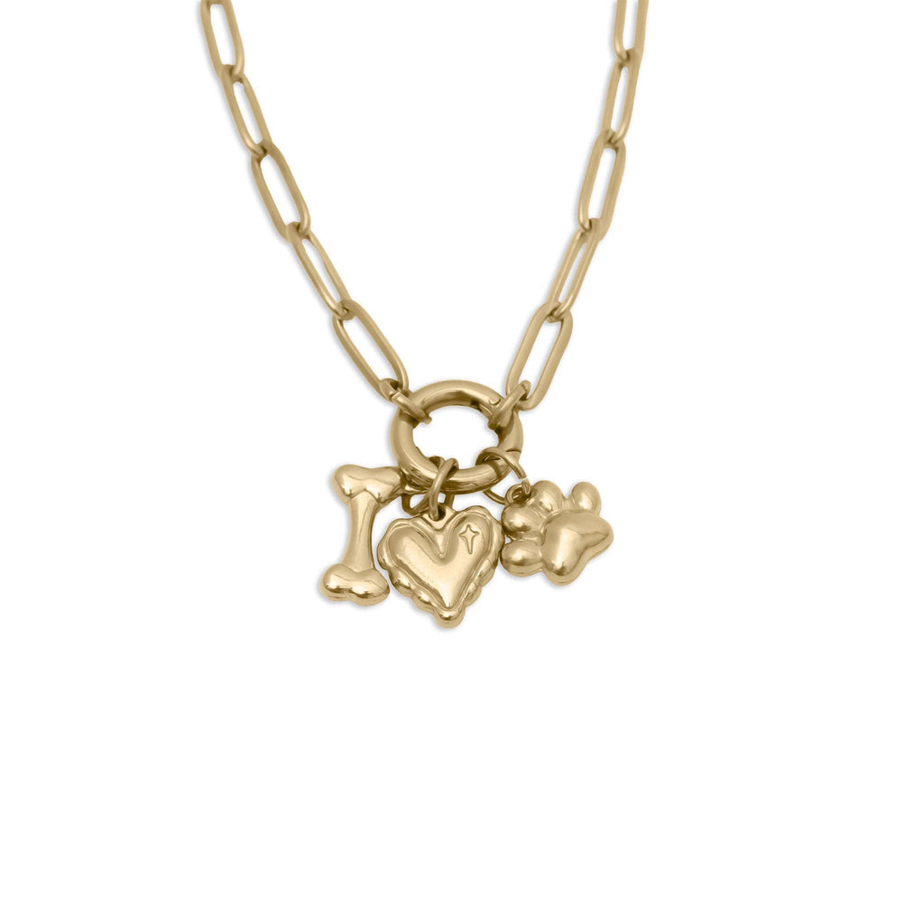 18K Gold Stainless Steel Pet Charm Holder Necklace Gift Set