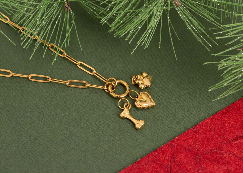18K Gold Stainless Steel Pet Charm Holder Necklace Gift Set
